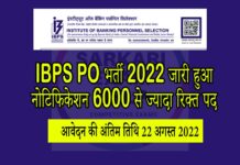 IBPS PO Bharti 2022 Vacancy Details in Hindi